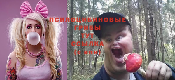 2c-b Белокуриха